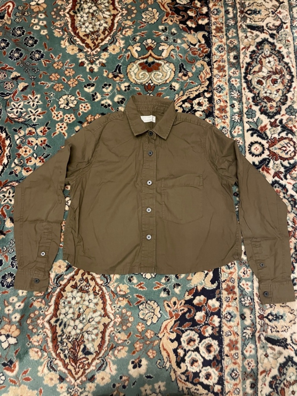 Everlane Olive Utility Button-Down Shirt